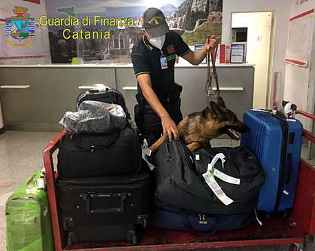  Di ritorno dalla Spagna con eroina nelle mutande, arrestato in aeroporto un siracusano