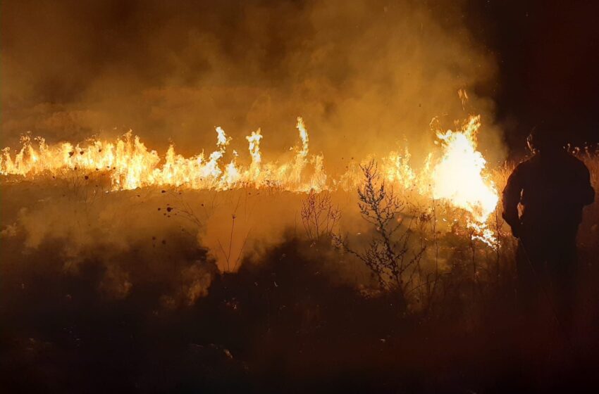  Esposto in Procura dopo l’incendio di Città Giardino. Il sindaco Carta: “Sospetto un movente”