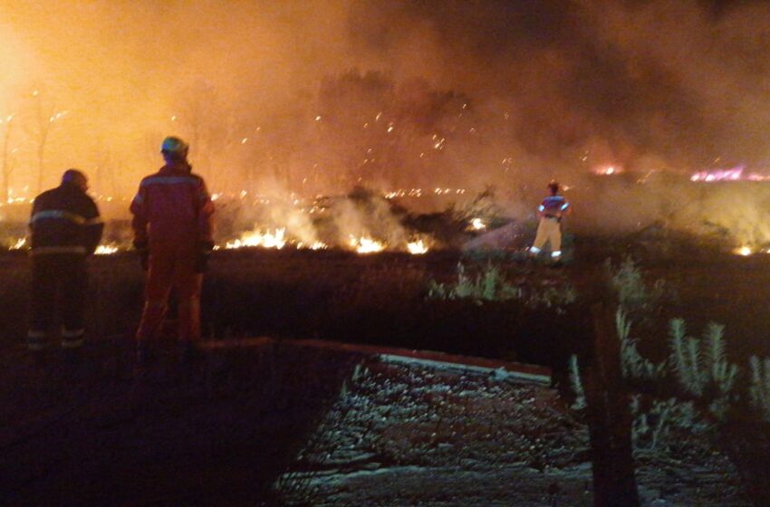  Oltre 12 ore a lottare contro il fuoco: grazie a Vigili del Fuoco, Forestale e volontari di Protezione Civile