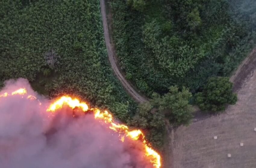  “Interessi economici dietro gli incendi nel siracusano”, il M5s con il sindaco di Buccheri