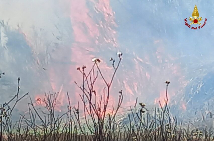  Incendi nel siracusano: Vigili del Fuoco, Forestale e mezzi aerei nell’area del Tellaro