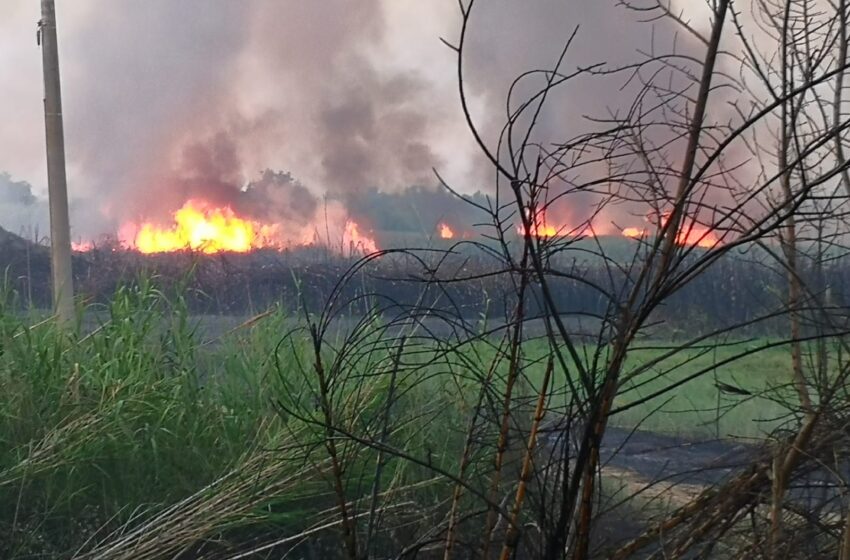  Siracusa. Notte d’inferno in provincia, il prefetto Scaduto: “Ottimo lavoro, ora indagini celeri”