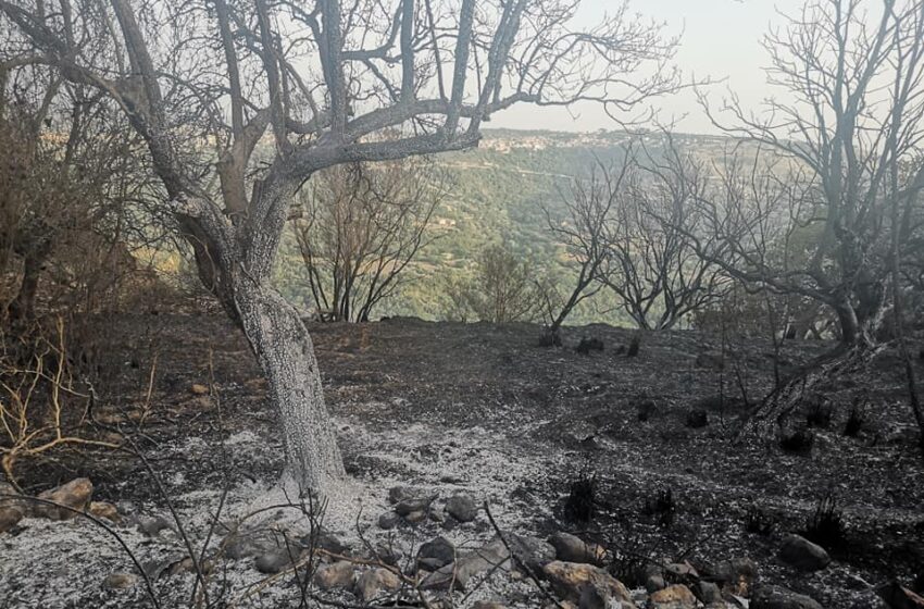  Emergenza incendi, rabbia dei movimenti civici: “si fermi la desertificazione del parco degli Iblei”