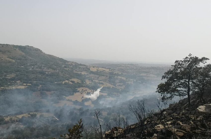  Emergenza incendi, paesaggio spettrale sugli Iblei. I sindaci: “stato di calamità ed esercito”