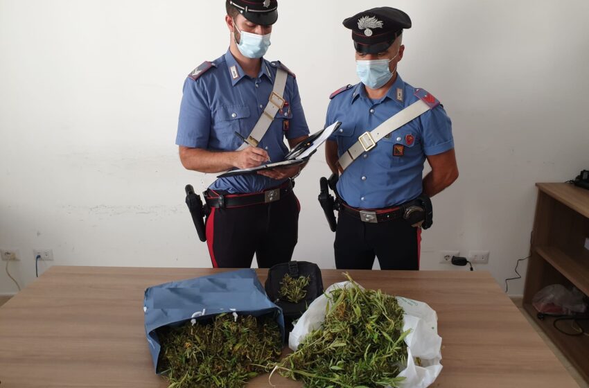  Per strada con due buste piene di marijuana: minore arrestato dai carabinieri