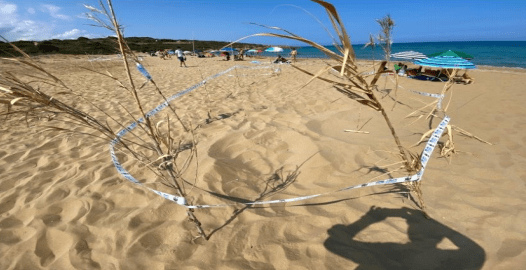  Noto. La Caretta Caretta torna a nidificare sulla spiaggia di Eloro-Pizzuta: presto la schiusa