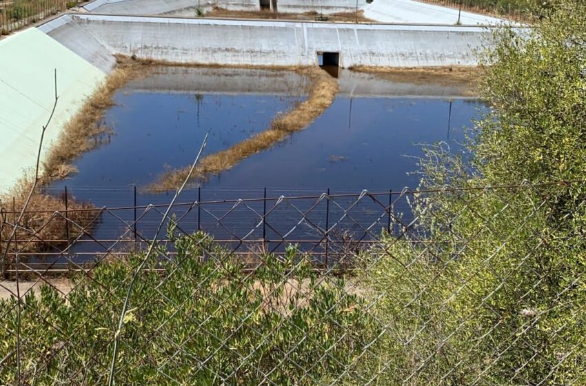  Siracusa. Canale Galermi, Cafeo: “Il Consorzio di Bonifica fa acqua da tutte le parti”