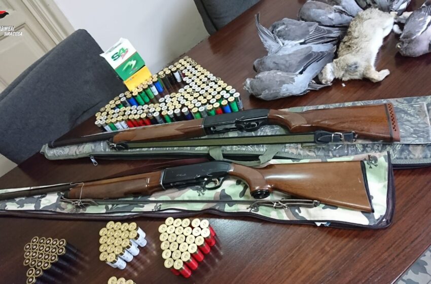  Cacciavano nonostante il divieto: quattro denunciati, sequestrati fucili e munizioni