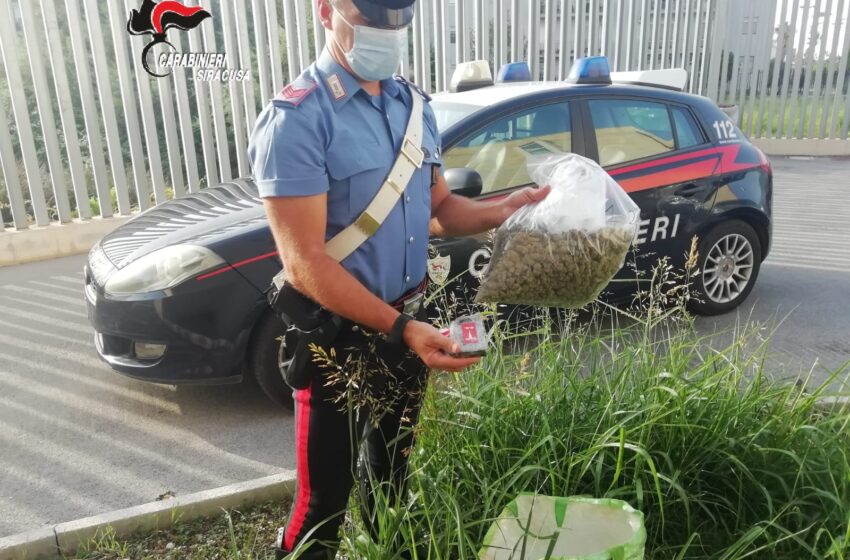  Droga nascosta in giardino, arrestato dai Carabinieri un 44enne di Augusta