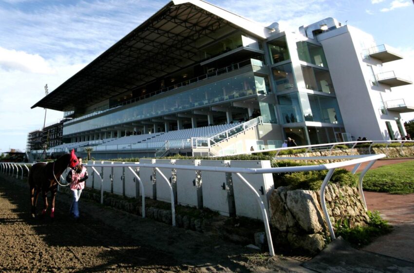  Galoppo. Corse in ricordo di Nuccio Sortino all’Ippodromo del Mediterraneo