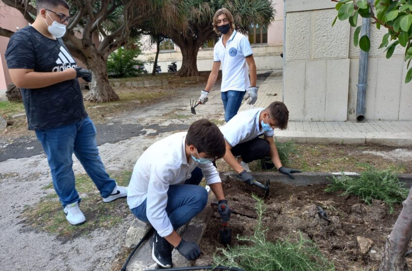  Siracusa. L’Istituto Nautico ha un “CuoreVerde”: “Così rinasce lo storico giardino”