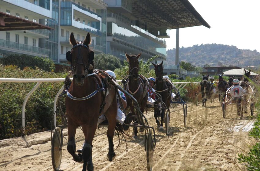  Ippica. Premio Camilleri all’Ippodromo del Mediterraneo: aprono i due anni