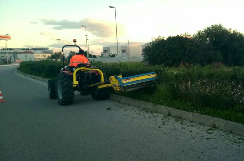  Siracusa. Siepi “massacrate” dal nuovo macchinario: gli operatori tornano a usare il forbicione