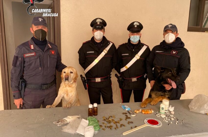  Eroina e armi, i Carabinieri arrestano due siracusani anche grazie al fiuto di Ivan e Riley