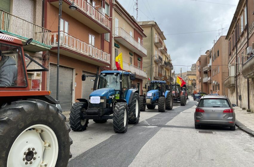  Trattori in piazza, la protesta di allevatori e agricoltori: “Impossibile andare avanti”