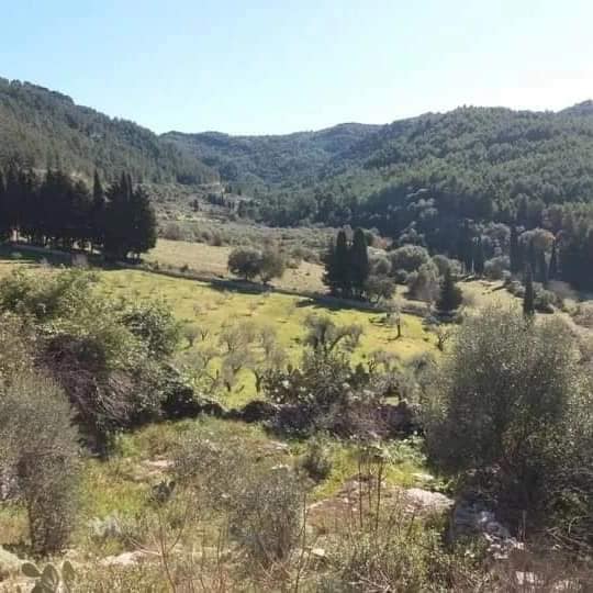  Parco Nazionale degli Iblei verso l’istituzione, Mastriani: “Ora si punti sull’ecoturismo”