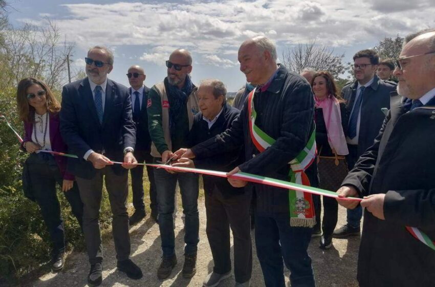 Dopo l’incendio del 2019, rinasce il bosco delle Saline di Priolo: taglio del nastro con 500 nuovi alberi