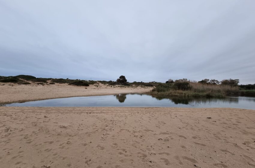  Siracusa. Il pantano è troppo profondo: problemi per la spiaggia dell’Arenella