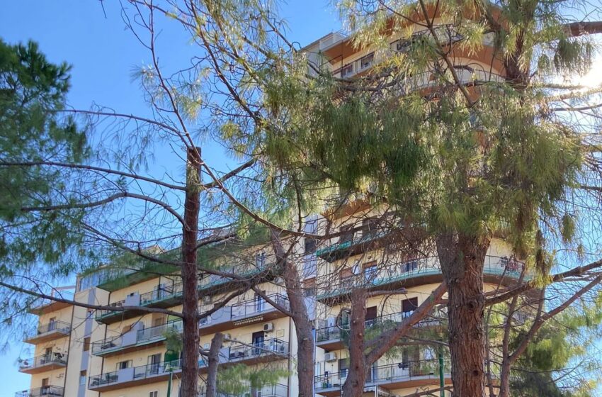  Un sit in solitario per l’ambiente, l’iniziativa di Fiorenzo: “Più alberi per la città, c’è la legge”