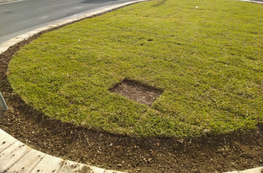  Quanto è triste quella mano che ruba una zolla di prato dalla rotatoria di piazza Euripide