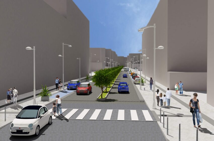 Viale Tisia, gli alberi e l’ombra: Pd e Bandiera (FI) bocciano i platani. “Meglio arancio amaro”