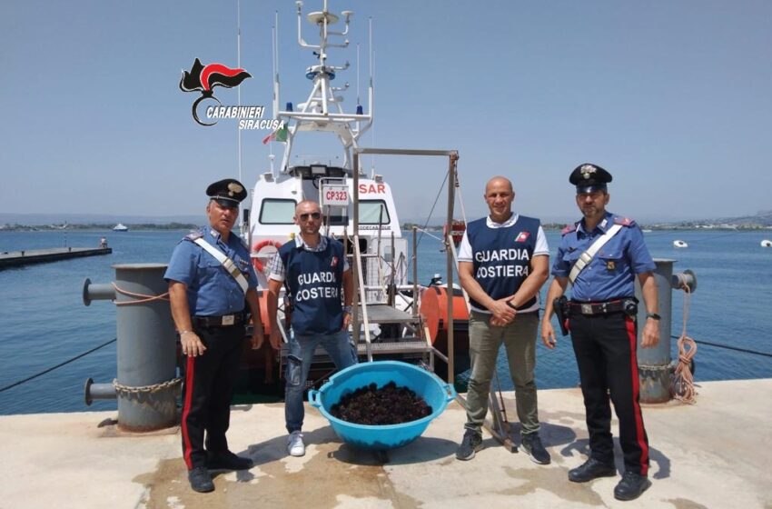  Pesca abusiva di ricci di mare, intervengono Carabinieri e Guardia Costiera