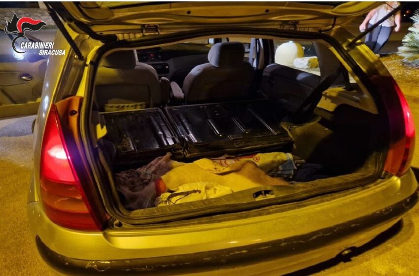  I Carabinieri arrestano due ladri di carrube, sorpresi con 200kg nascosti in auto