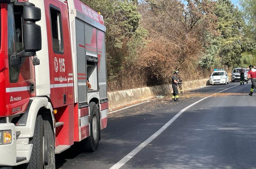  Risveglio con forti raffiche di vento anche nel siracusano, alberi sradicati e pali abbattuti