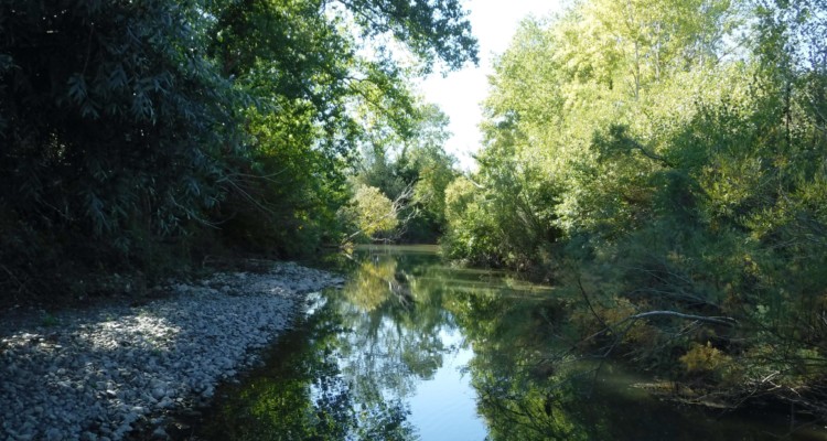  Fiumi e canali, direttiva dell’Autorità di Bacino: “curare la vegetazione, evitare esondazioni”