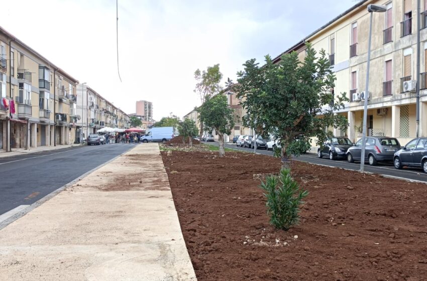Pronta la nuova area verde di via Giarre: piante autoctone al posto dei pini
