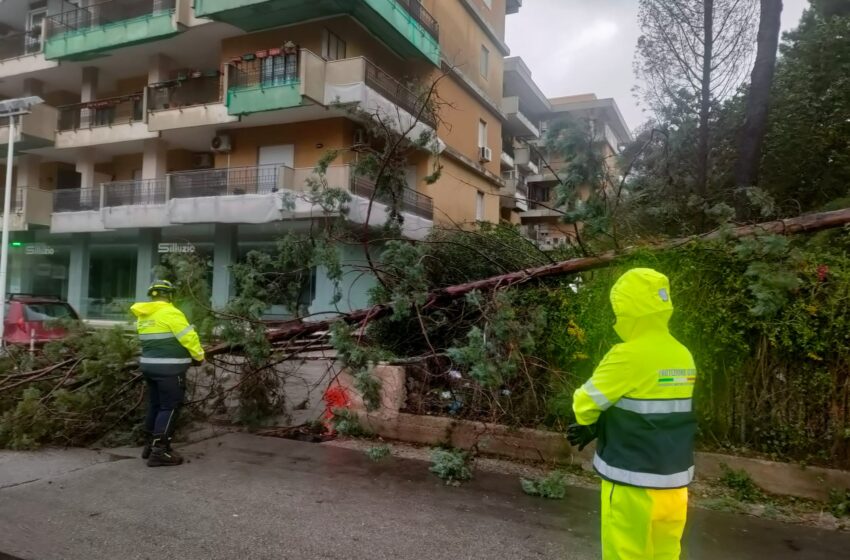  I danni del maltempo: sopralluoghi e verifiche. Per la riapertura delle scuole, incognita meteo