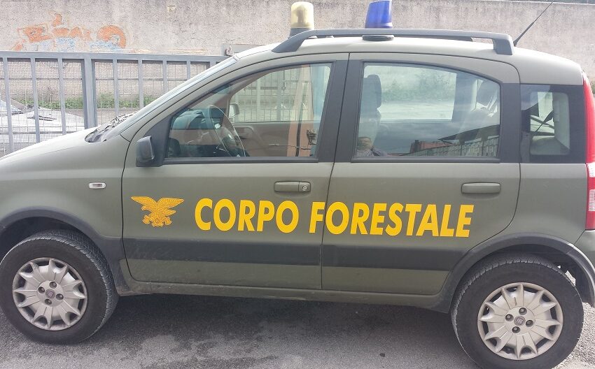  Concorso Corpo Forestale regionale, a Siracusa e Catania le sedi d’esame