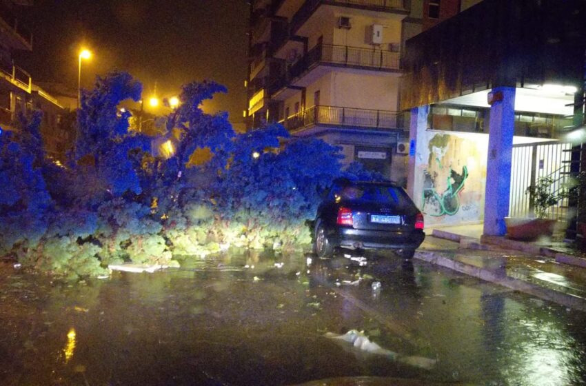  Il giorno dopo: strade verso riapertura, treni fermi. Energia elettrica ed acqua, ancora disagi