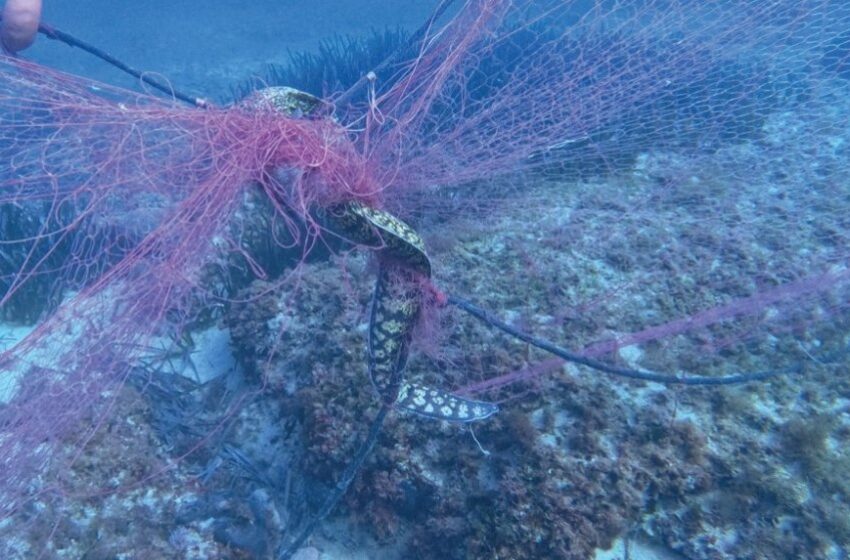  Pescatori-ambientalisti: raccolti 700kg di rifiuti in mare, è il progetto Marine Litter