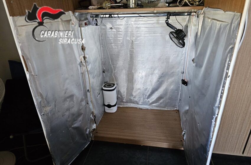  Trasforma l’armadio della sua camera in serra per la canapa indiana: arrestato 18enne