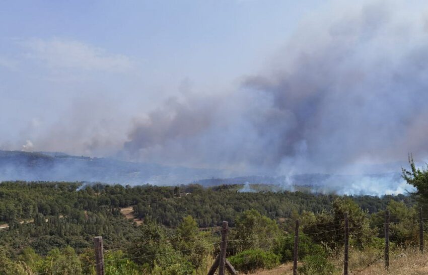  Brucia Pantalica, in fiamme ettari di bosco con la grave certezza del dolo