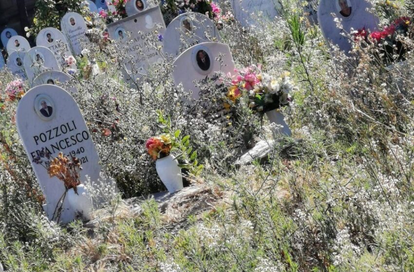 Cimitero comunale, campi sepoltura invasi dalle erbacce: iniziato il diserbo
