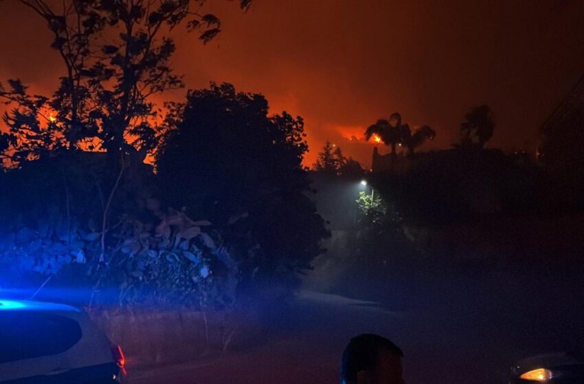  Emergenza incendi, Gilistro (M5S): “Prevenzione, non vuoti protocolli”