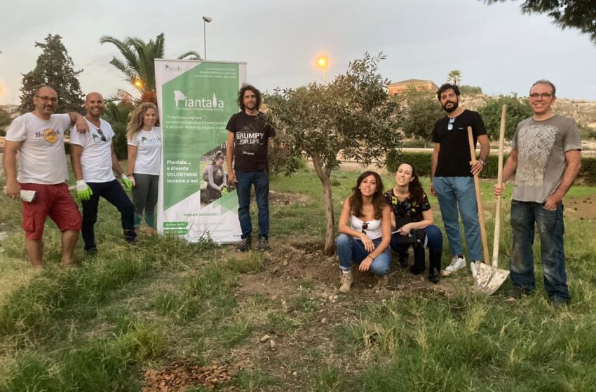  La risposta al degrado? Passa dalle persone di buona volontà tra alberi piantati e pulizia