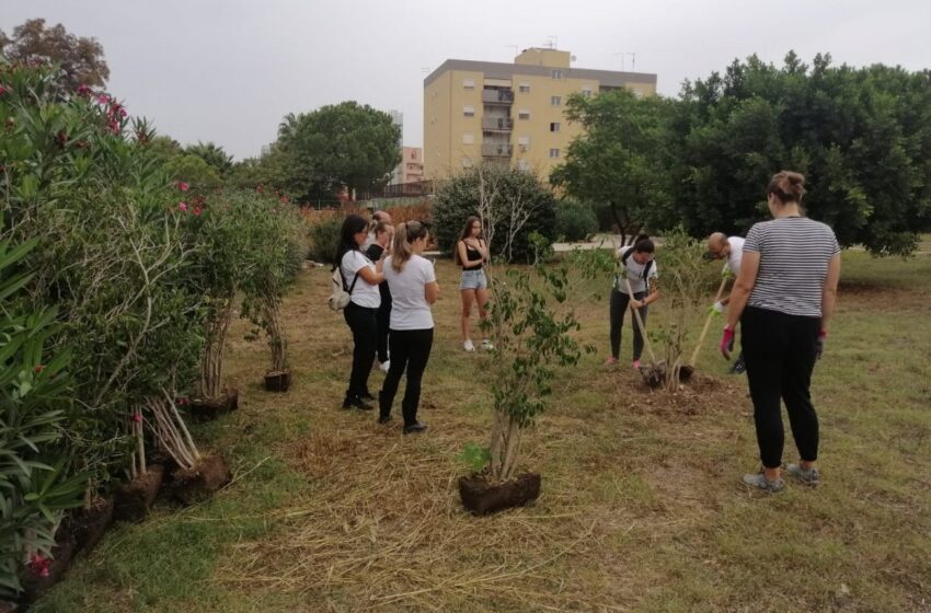  Nuovi alberi al Parco di Bosco Minniti, messi a dimora dall’associazione Piantala