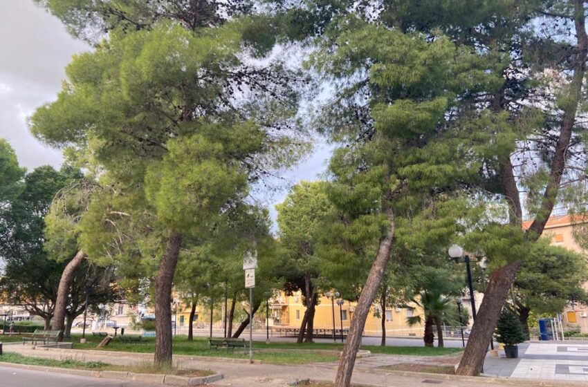  Ambiente, circa 13 milioni di euro per contrastare il consumo di suolo in Sicilia