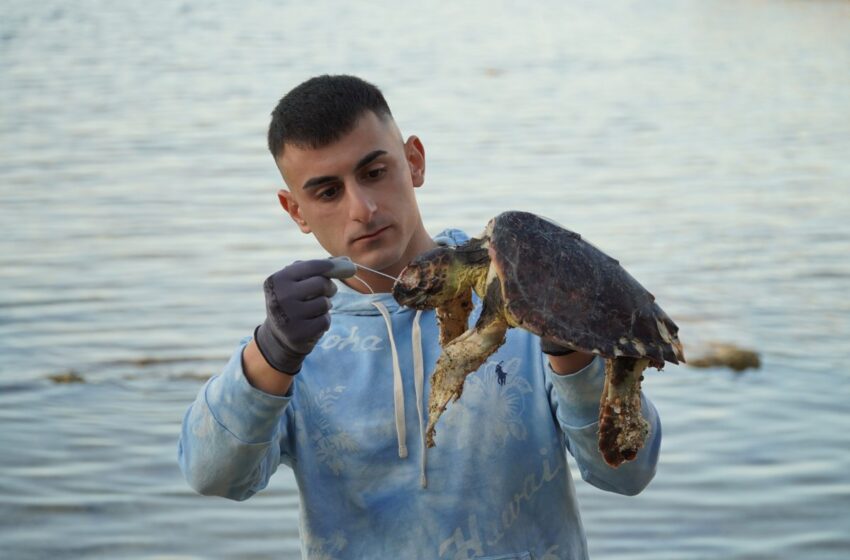  Tartaruga marina uccisa da un amo: rinvenuta lungo la costa del Plemmirio