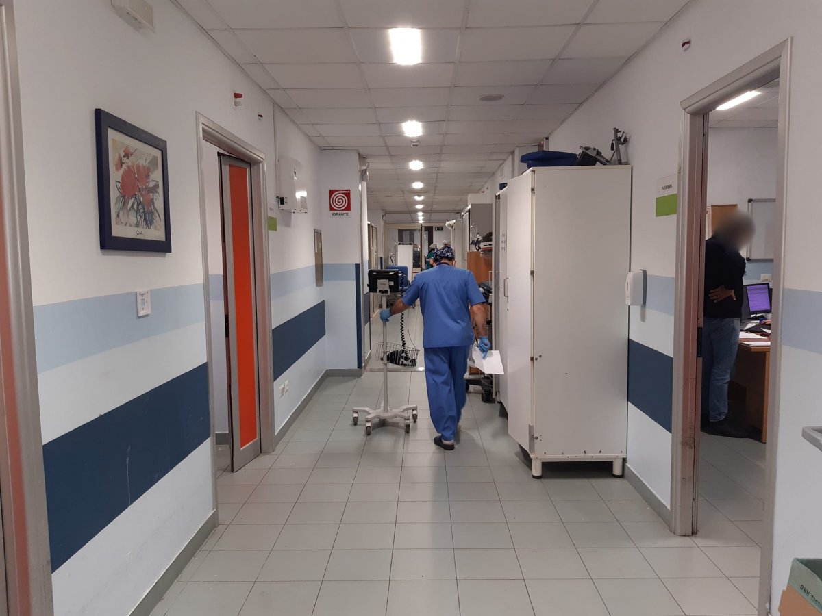 Qualicare - Bendaggio Tubolare Professionale Dita Per Lavori In - Foto 10