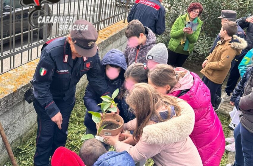  I Carabinieri piantano la talea dell’Albero Falcone con gli studenti, simbolo di Legalità e Libertà