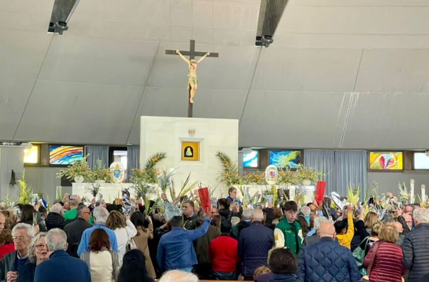 Domenica delle Palme, la suggestiva benedizione in Santuario