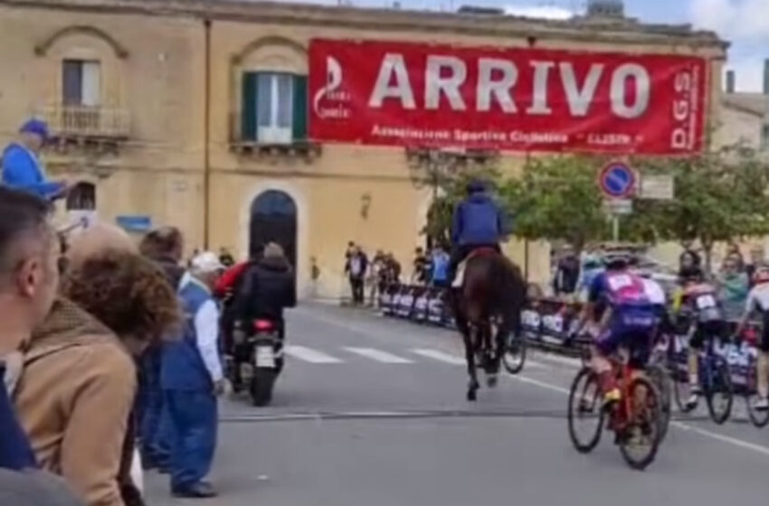  Cavallo al galoppo in mezzo alla gara ciclistica di Solarino, tre uomini denunciati