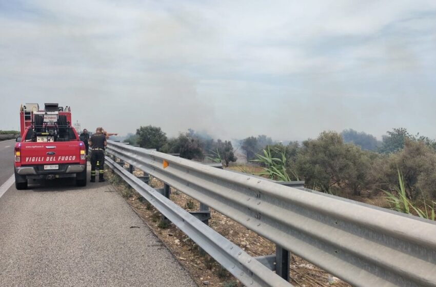 Primi incendi estivi, fiamme a ridosso dell’autostrada tra Avola e Cassibile