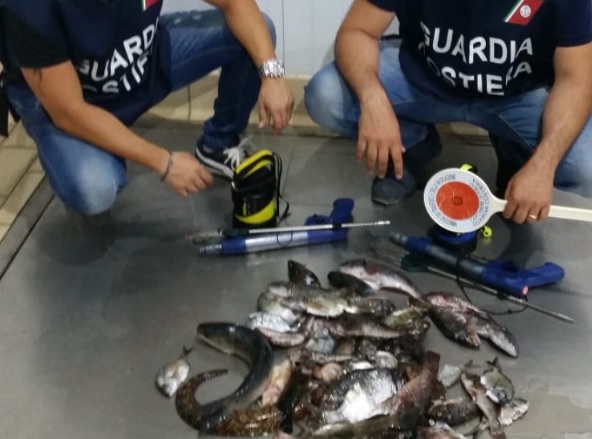 Oltre 600 controlli in mare, conclusa l’Operazione Fish Reproduction della Guardia Costiera