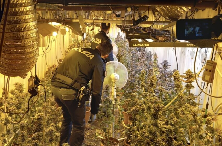 Marjiuana coltivata nel bunker sotterraneo, 57enne condannato a 3 anni di carcere