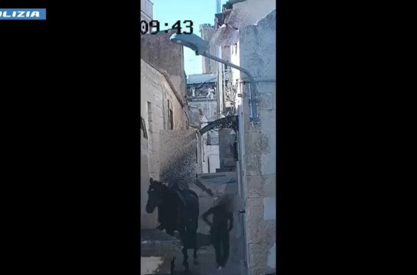  Acquisto di droga anche a cavallo, a Noto lo spaccio col paniere e sotto le tegole